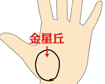 怎么看手相子女运，女人最好了解一下