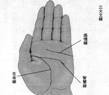如何看手相算命，看这三条线就可以了
