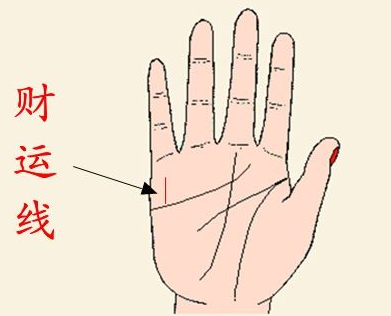 手相看财运-财运线是哪一条