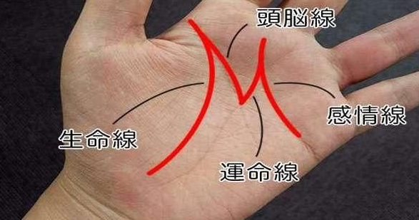 男人的左手的手相图解分析