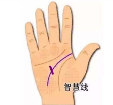 从手相智慧线看你有多聪明？