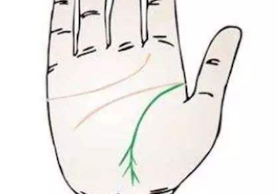 手相图解生命线，分叉好不好