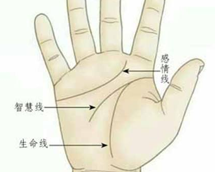 手相图解大全女之右手掌纹解读