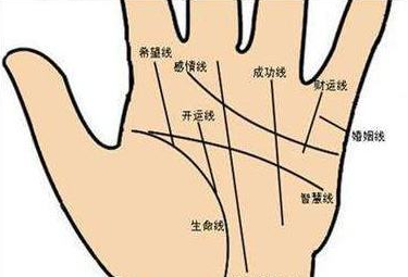 女人右手手相图解大全，女人右手手相怎么看
