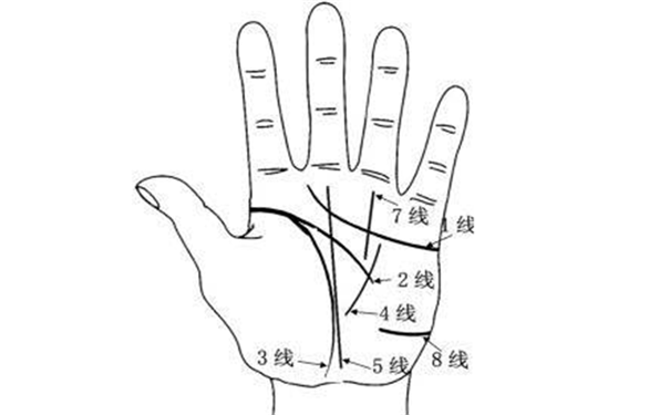 掌纹简单清晰是一种很好的手相