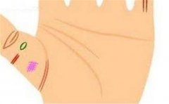 手相富贵特征多,这些很常见,有的人很多