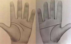 与其关注双手川字掌女人前世,不如关注手相运