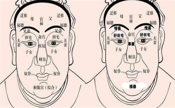 十二宫面相