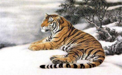 今年会事业有成的生肖，说不定里面就有你