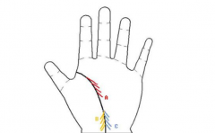 人缘好的手相,事业运势也很好