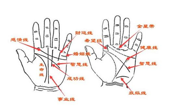 手相花掌