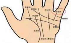 手相金库财运好,这些手相的财运也不差