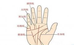 手相看男女婚姻线,婚姻运势的好坏就看它