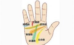 手相偏财运特征分析,拥有就是一种幸运