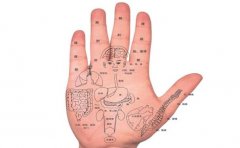 算命手相,不同的手相命运不同,来对照一下自