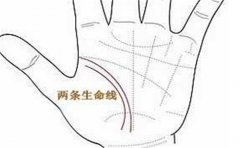 好命运手相特征多种多样,这些说不定你也有