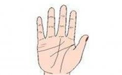 白手起家能够成功的富贵手相