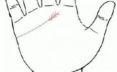 好命的手相,这样的人天生好命