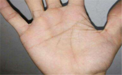 手掌纹断裂,感情线断裂寓意着这些信息