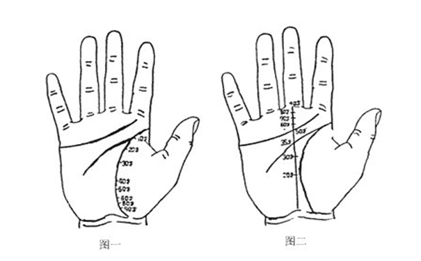 手掌纹路图解