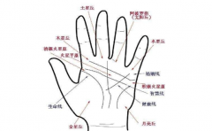 手相掌纹图解分析,比较罕见的掌纹类型