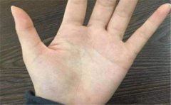 男人手相是如此 大男子主义倾向逃不掉