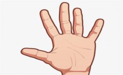 教你看有官运的手相