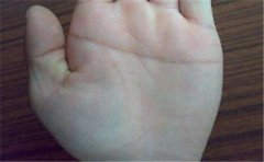 玉环纹的寓意和常见种类