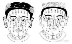 女人痣相解读，常见女人富贵痣有这些
