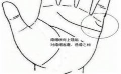 家风纹换个名字就是我们熟悉的它，你一定听说