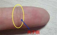 在手相图解大全中，这些人官运特别好，易当上