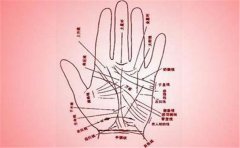 智慧线末端分析性格特征
