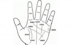 最容易成功的五种手相
