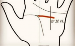 智慧线短的人虽然不聪明,但是这个品质却很难