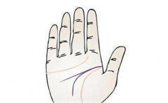 智慧线分叉很大的人非常聪明,女人的话会很强