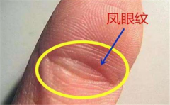 有凤眼纹手相图解的人非常浪漫,而这些人恰恰