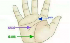 生命线短寿命就短,但是这几种情况是例外