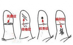 这才是真正的凤眼纹,其他的都是冒牌货