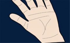 破财手相有这样的特征