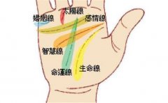 事业运不好的手相特征盘点，难怪自己的事业很