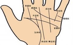 手相事业线分叉情况分析，不一定全部跟事业有