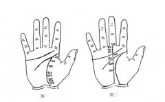 女人大富大贵的手相有这些