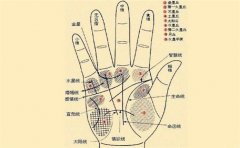 成功女人手相有这些