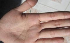 女人手相财运解析,这样的女人手相能旺夫