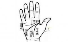 女人手相算命图解,财运好的女人手相分析