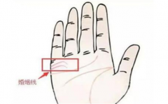 手相图解婚姻线,婚姻线特征暴露了你的情感运