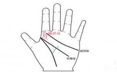 手相生命线这么看 人生运势一目了然