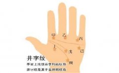 手相智慧线掌握这些运势 看懂了才能一生无忧