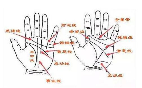 手相左右手差异