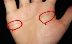 智慧线生命线前端重合,很多人的手相都是如此